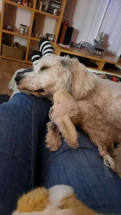 Die unbequemsten und lustigsten Schlafpositionen-Beitrag-Bild