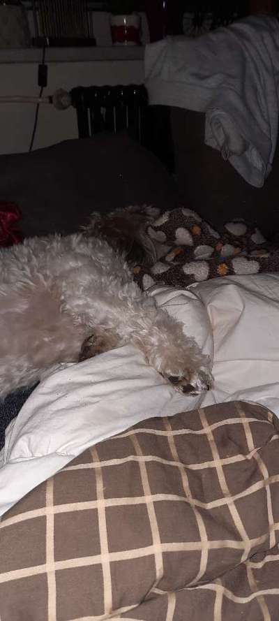 Die unbequemsten und lustigsten Schlafpositionen-Beitrag-Bild