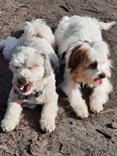 CHALLENGE NR. 18 - ON TOUR-Beitrag-Bild