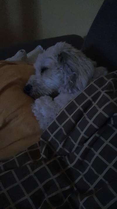 Die unbequemsten und lustigsten Schlafpositionen-Beitrag-Bild