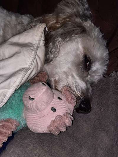 Die unbequemsten und lustigsten Schlafpositionen-Beitrag-Bild