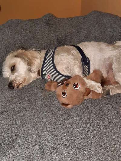 CHALLENGE NR. 34 - Liege-/Schlafpositionen-Beitrag-Bild