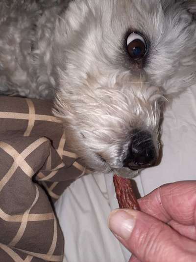 Die unbequemsten und lustigsten Schlafpositionen-Beitrag-Bild