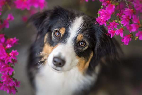 Lieblingsbild-Beitrag-Bild