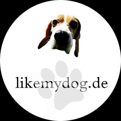 Gassi-Services-Like my dog - Dogwalking/mobile Hundebetreuung 🐾🚶🏻‍♀️🐶-Bild