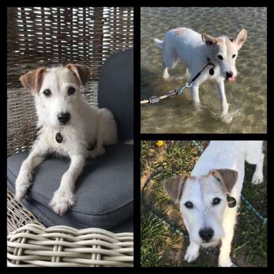 Fotochallenge Nr. 56 - geliebte Senioren-Beitrag-Bild