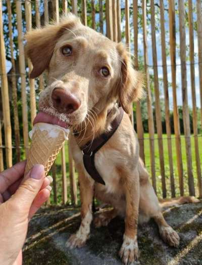 Fotochallenge 37- Sommerfeeling-Beitrag-Bild