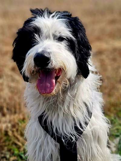 Doppelgänger gesucht !-Beitrag-Bild