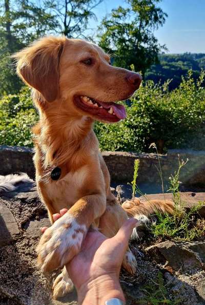 Doppelgänger gesucht !-Beitrag-Bild