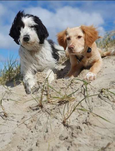 Fotochallenge Nr. 67: Euer Lieblingsbild-Beitrag-Bild