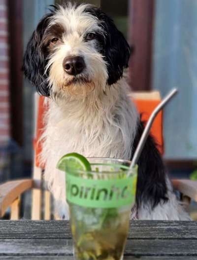 Fotochallenge 37- Sommerfeeling-Beitrag-Bild