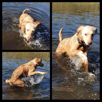 Fotochallenge 27-Beitrag-Bild