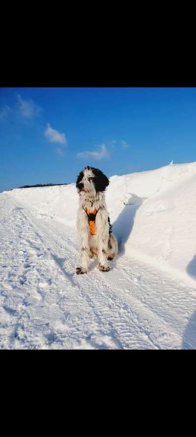 Fotochallenge 61 ~ Schnee-Beitrag-Bild