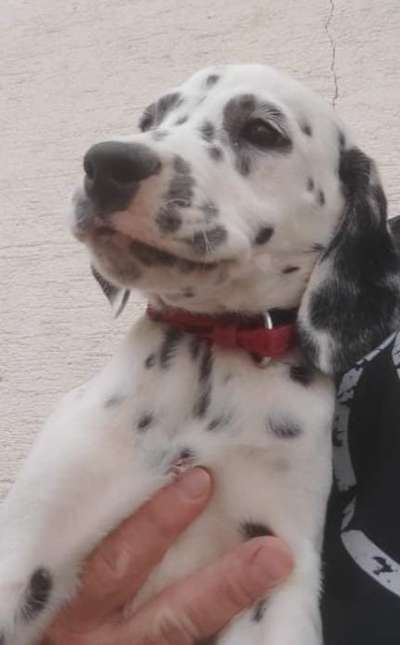 Fotowettbewerb-Beitrag-Bild