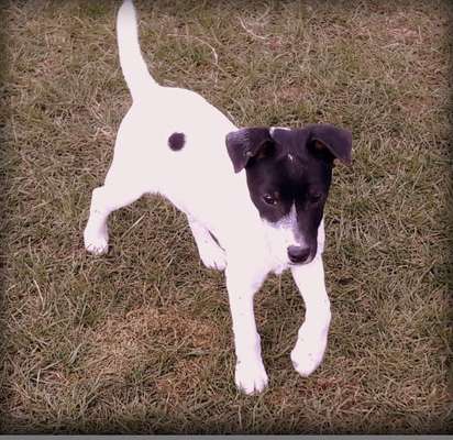 Fotowettbewerb-Beitrag-Bild