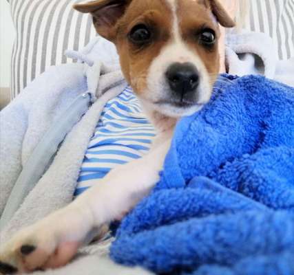 Lieblingsbild :D-Beitrag-Bild