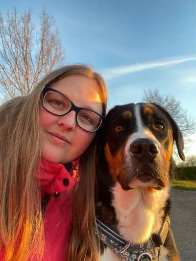 Berner Sennen-Beitrag-Bild