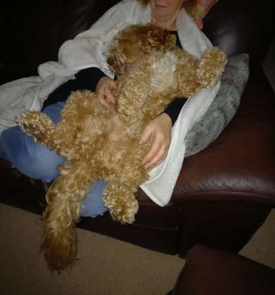 FOTO-Challenge  NR. 91: Die pure Entspannung-Beitrag-Bild