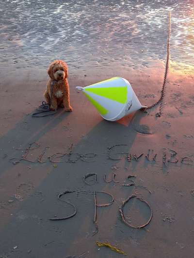 Eure Strandbilder :)-Beitrag-Bild