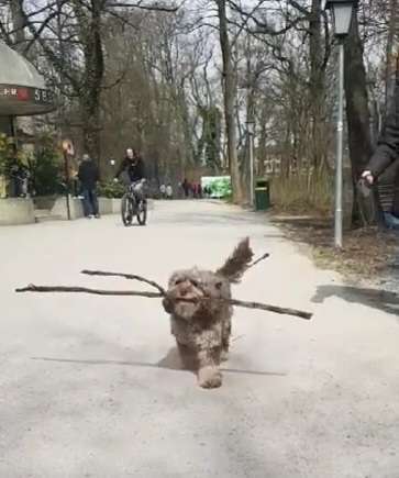 Theos Fotochallenge Nr. 3-Beitrag-Bild