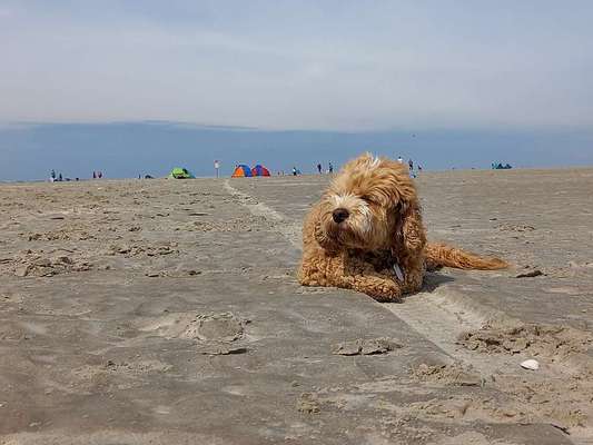 Foto-Challange No.1 - Alles aber nicht die Kamera-Beitrag-Bild