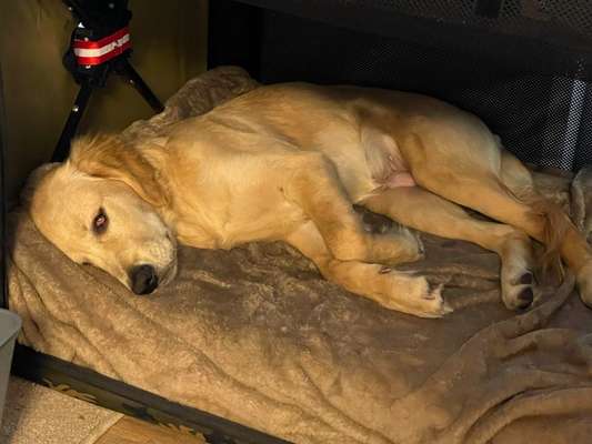 Foto Challenge Nr. 134-Beitrag-Bild