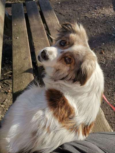 Lieblingsbild :D-Beitrag-Bild