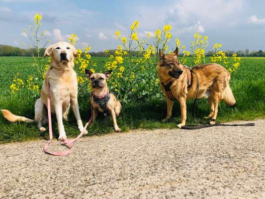 Fotowettbewerb Natur-Beitrag-Bild