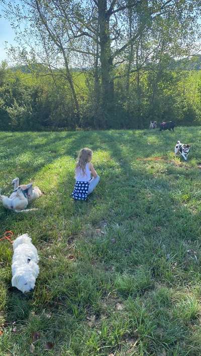 Fotosammlung: ,,Der natürliche Hund" Unbearbeitet, ungestellt und in Natura-Beitrag-Bild