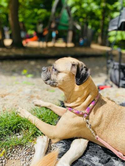 Fotowettbewerb zum Thema "Sonne"-Beitrag-Bild