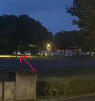 Giftköder-Rasierklingen-Bild