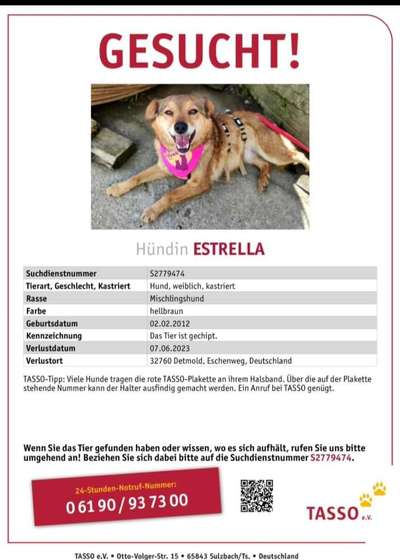 Suchmeldung-Estrella-Bild