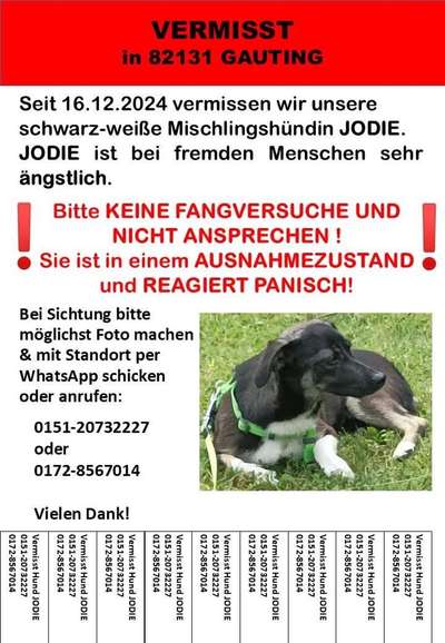 Suchmeldung-Jodie-Bild