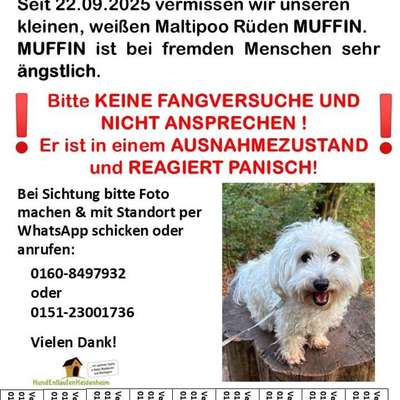 Suchmeldung-Muffin-Bild