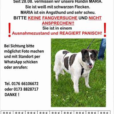 Suchmeldung-Maria-Bild