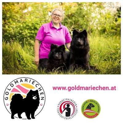 Hundeschule Goldmariechen Maria Reiss in Strasshof an der Nordbahn  – Dogorama