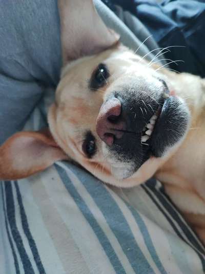 Handy-foto Challange nr. 11-Beitrag-Bild