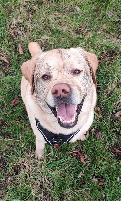 Handy-Foto Challange Nr. 10-Beitrag-Bild