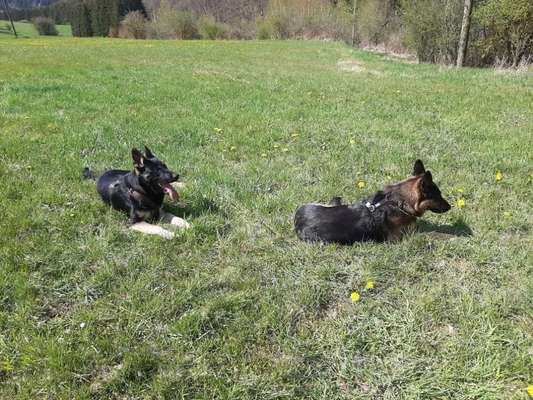 Challenge 30  Freundschaft-Beitrag-Bild