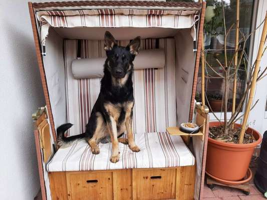 Fotochallenge No. 26                                     Wald und Wiese-Beitrag-Bild