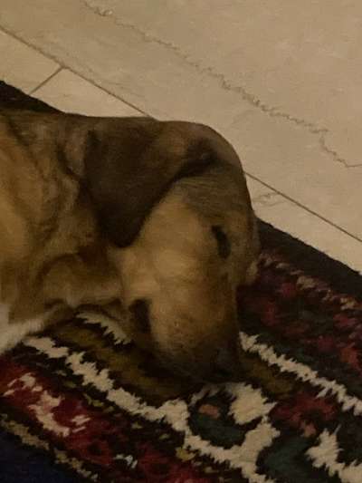 Foto Challenge Nr. 134-Beitrag-Bild