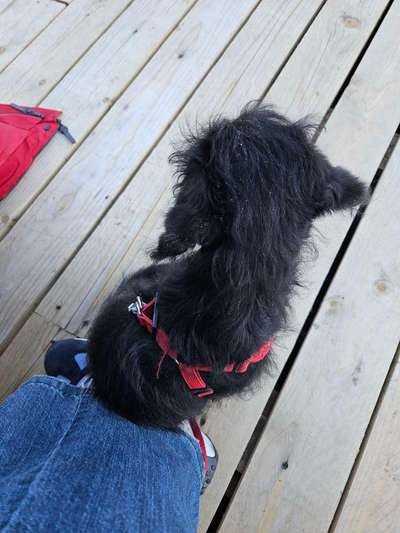 Schuppenlandschaft-Beitrag-Bild