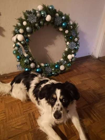 It's beginning to look a lot like.....-Beitrag-Bild