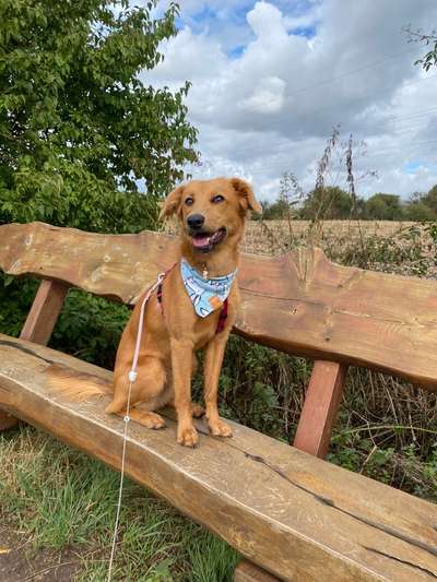 Handyfoto challenge Nr. 13: Waschlappen raus!-Beitrag-Bild