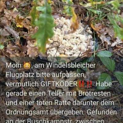 Giftköder-Giftköder-Bild