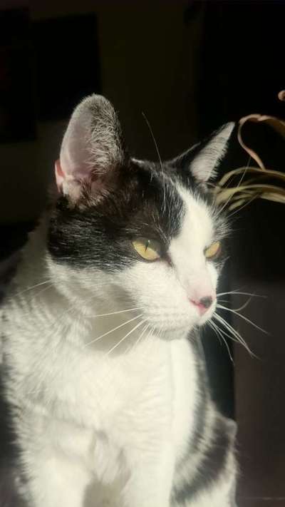 Unsere Sternchen ******-Beitrag-Bild