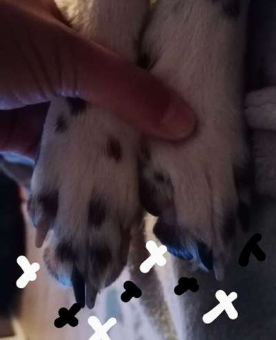 Blick fürs Detail!-Beitrag-Bild