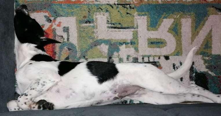 Die unbequemsten und lustigsten Schlafpositionen-Beitrag-Bild