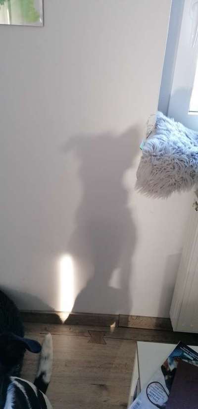 Fotochallange Nr. 46

Schattenspiele BEENDET!!!!!-Beitrag-Bild