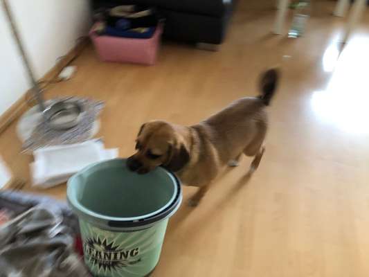 Handy-Foto Challange Nr. 12-Beitrag-Bild